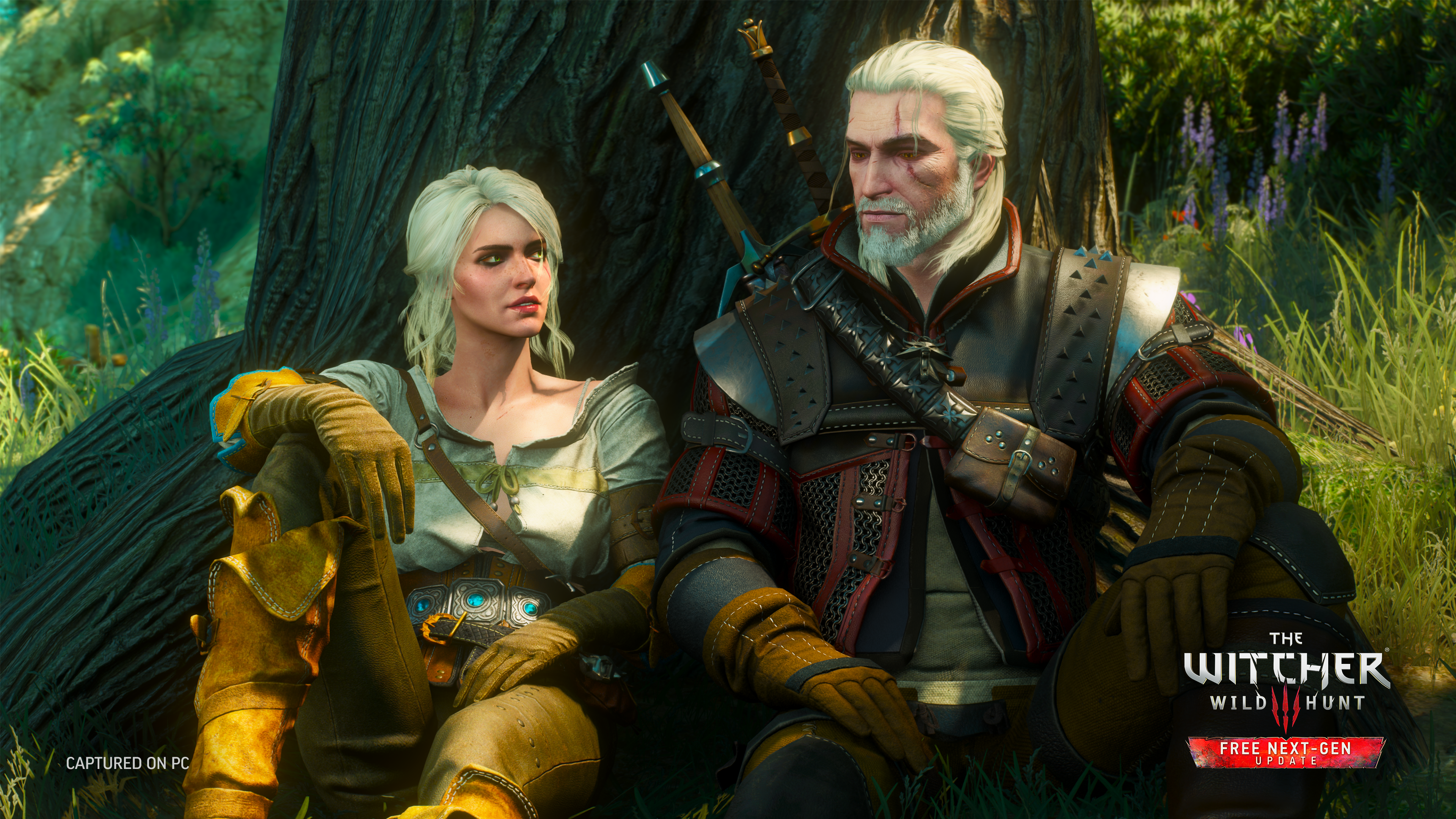 Beat the Wild Hunt V.2.0 Reborn available at The Witcher 3 Nexus